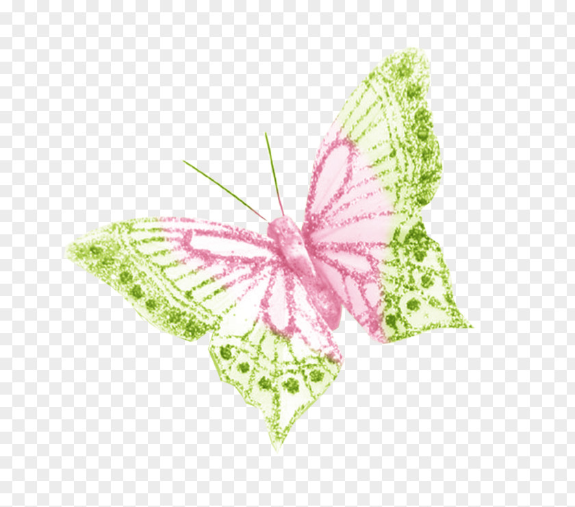 Leaf Swag Image Brush-footed Butterflies Design Butterfly PNG