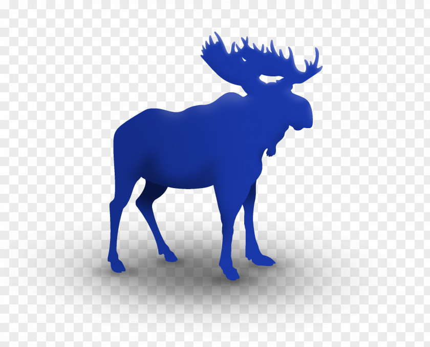 MOOSE Moose On The Loose Family Fun Run & 5K Deer Birthday Clip Art PNG