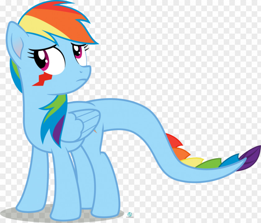 My Little Pony Rainbow Dash Rarity Applejack Twilight Sparkle PNG