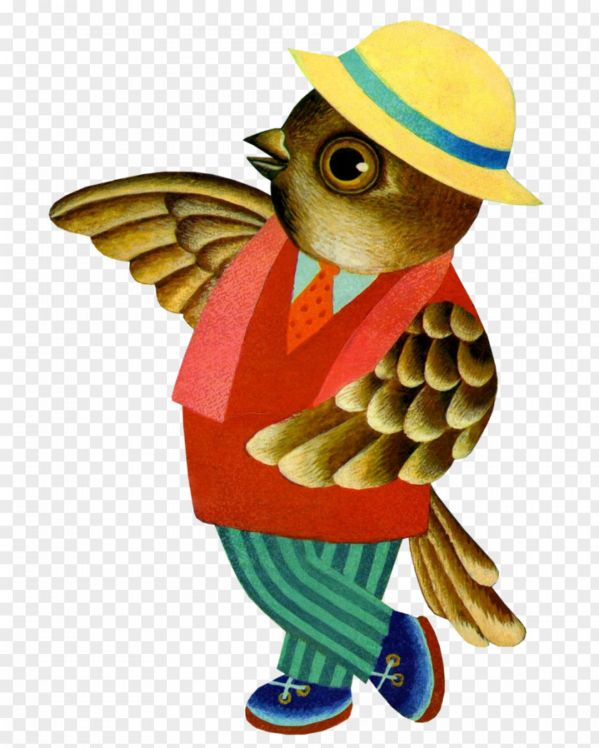 Owl Passer Kindergarten Beak Educator PNG