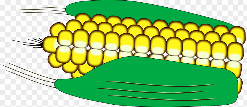 Packing Corn On The Cob Maize Download Clip Art PNG