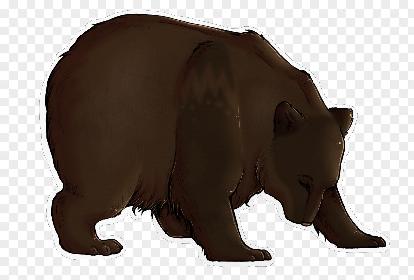 Bear Fauna Fur Terrestrial Animal Snout PNG