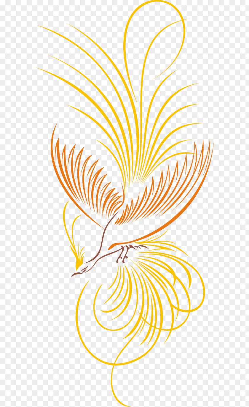 Bird Magnificent Bird-of-paradise Cenderawasih Bay Logo PNG