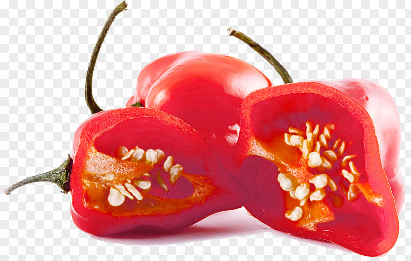 Chili Pepper Fruit Red Plant Food Pimiento Vegetable PNG
