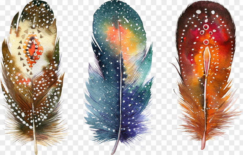 Fancy Feathers Watercolor Painting Feather Drawing Poster PNG