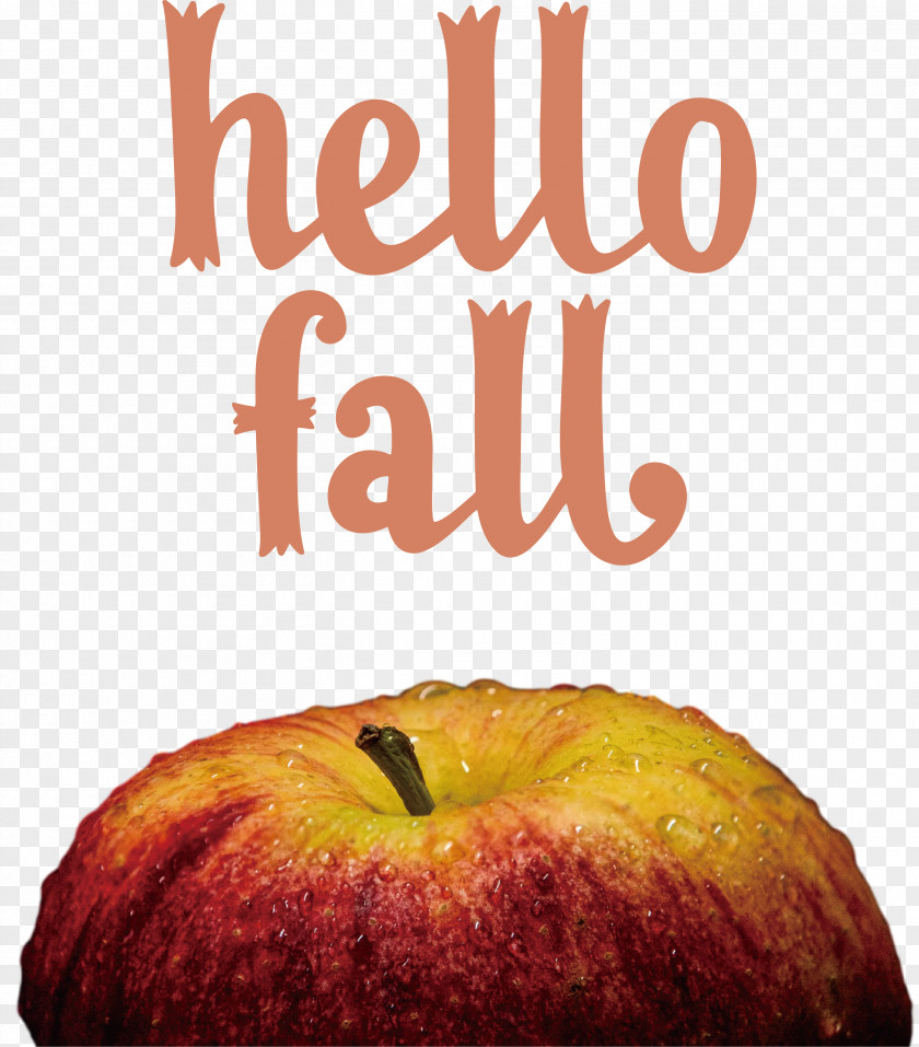 Hello Fall Fall Autumn PNG