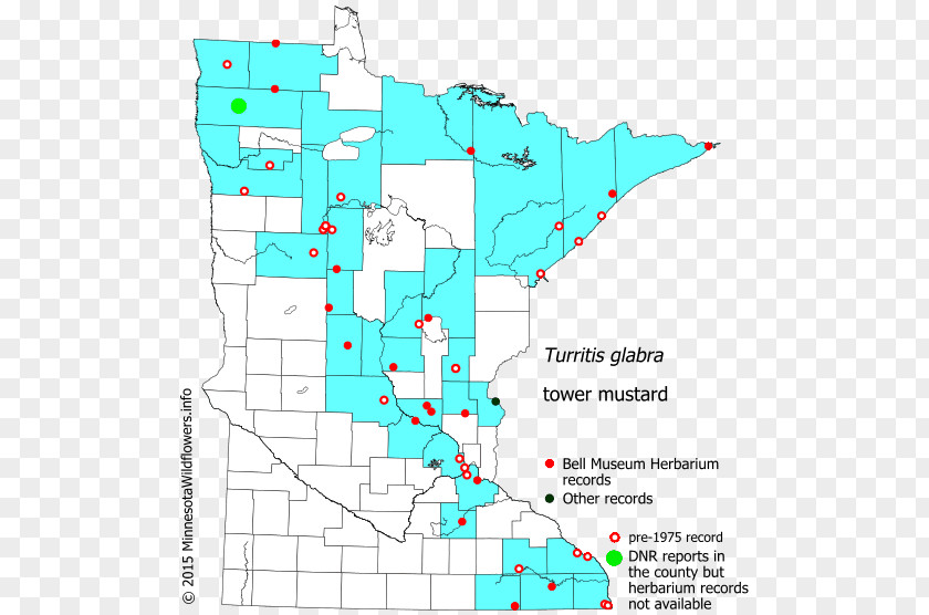 Line Point Land Lot Map Water Resources PNG