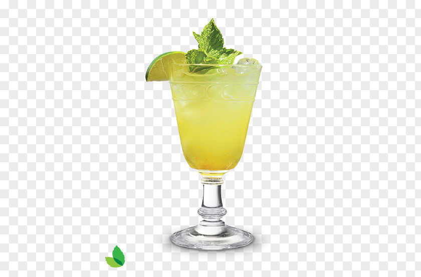 Mint Margarita Cocktail Garnish Mai Tai Mojito PNG