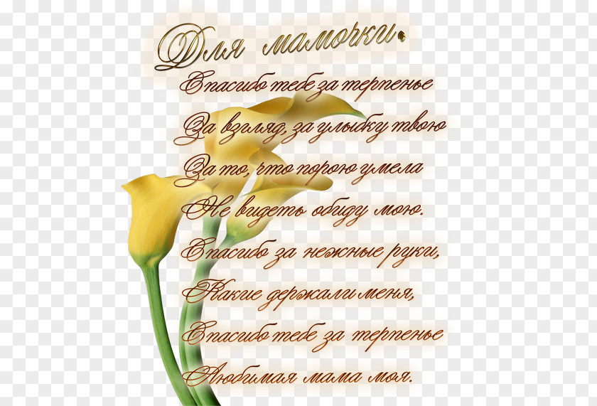 Mother's Day Verse Birthday Holiday Prose PNG