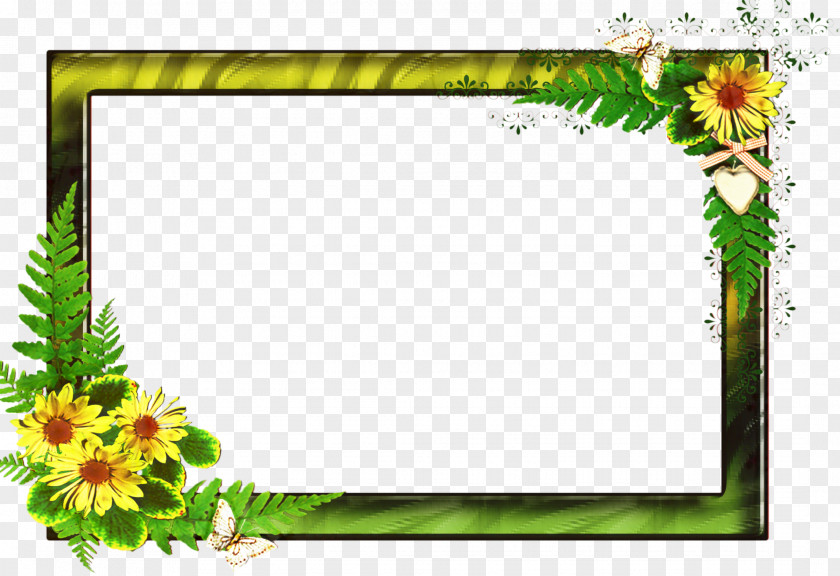 Flower Rectangle Background Watercolor Frame PNG