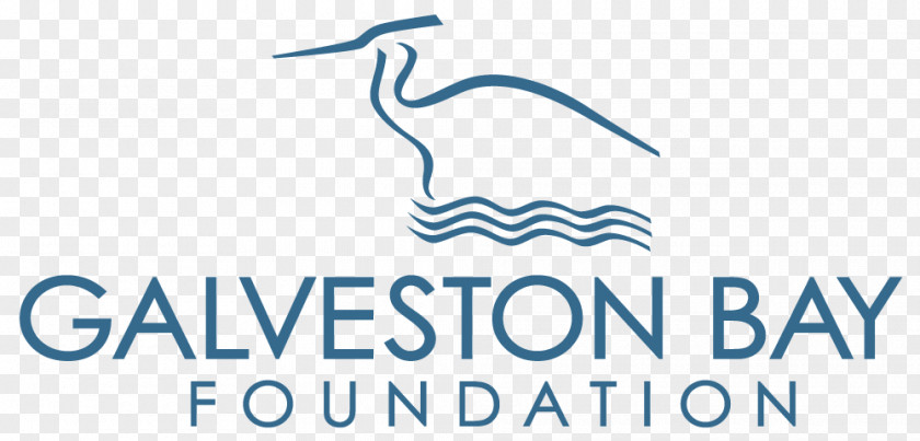 Galveston Bay Foundation Clear Lake Non-profit Organisation PNG