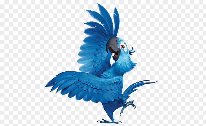 Rio2 Blu 4 Macaw Parrot Fauna Perico Illustration PNG