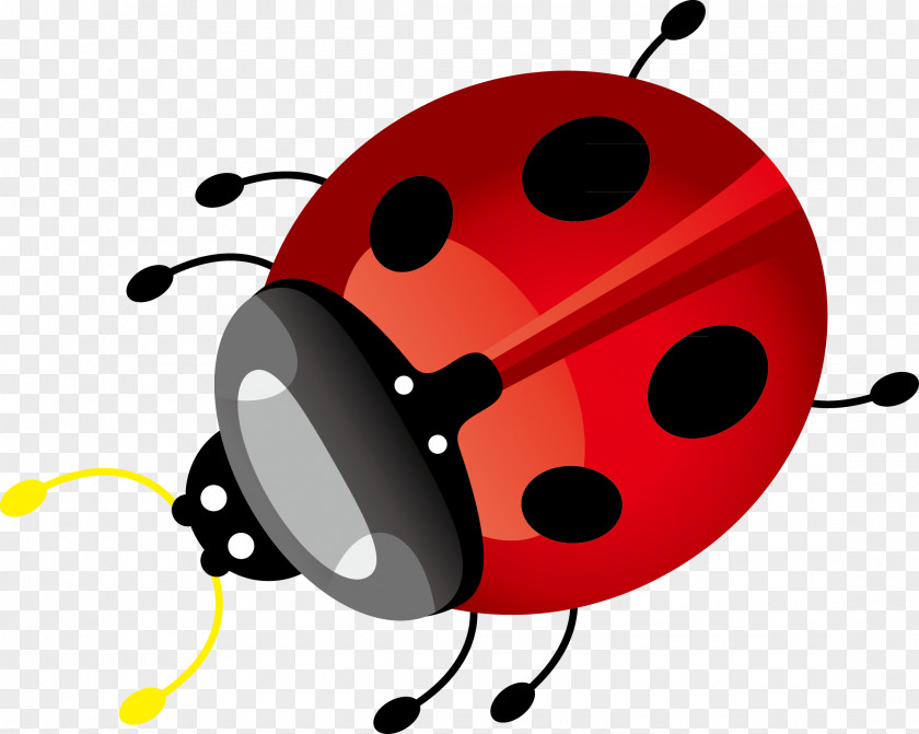 Seven Star Ladybug Vector Decoration Ladybird Insect Euclidean PNG