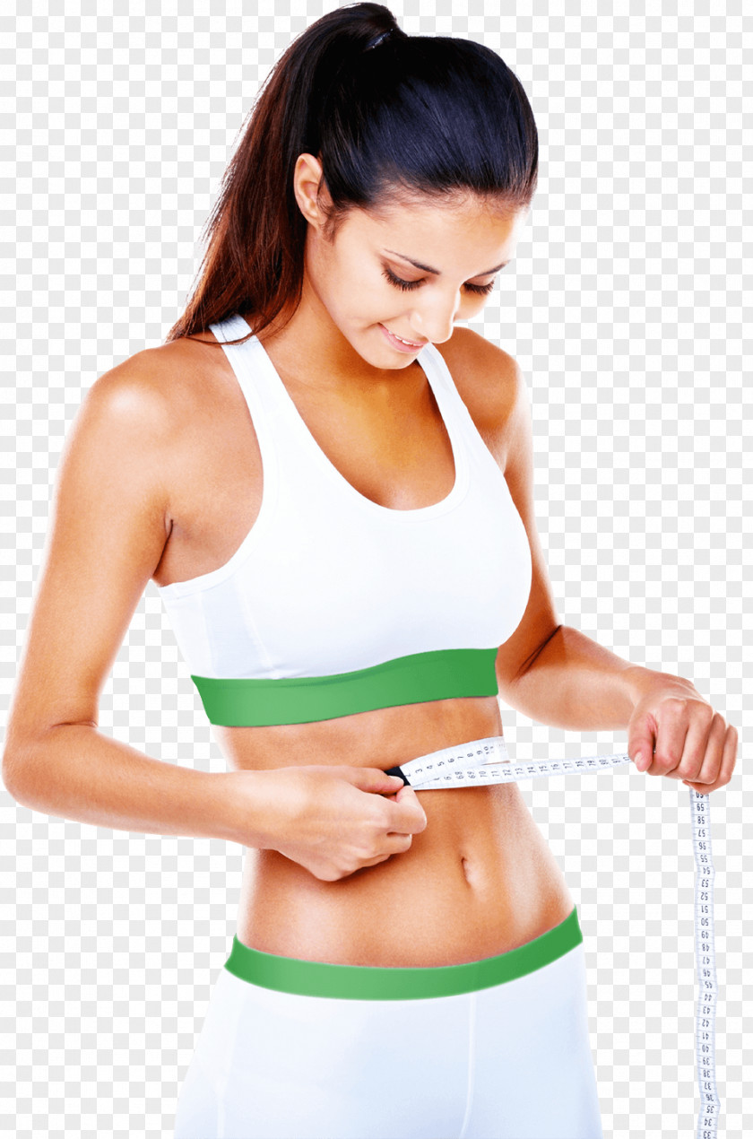 Body Dietary Supplement Forskolin Weight Loss Adipose Tissue PNG