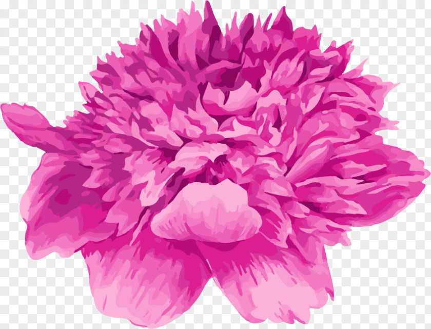 Cartoon Hand Painted Watercolor Purple Peony Flower Floral Design Moutan Painting PNG