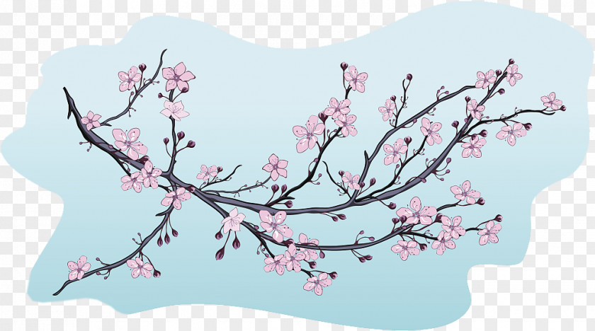 Decorative Illustrations Of Cherry Blossom Buds Illustration PNG