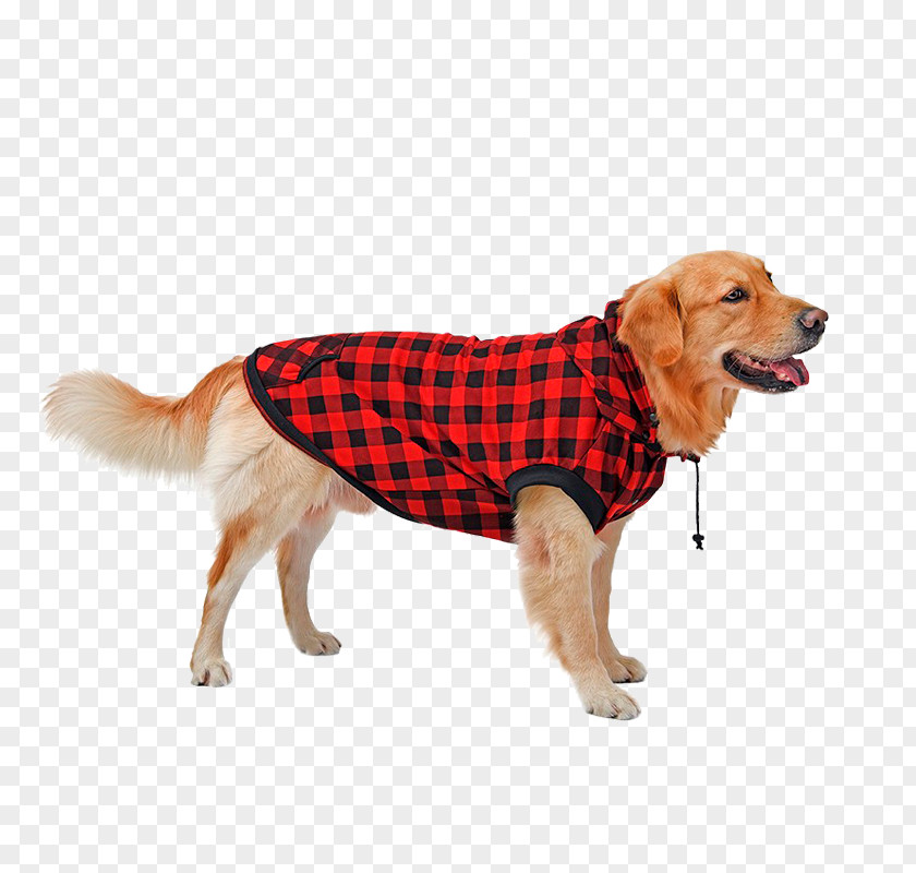 Dog Cat Hoodie T-shirt Clothing PNG