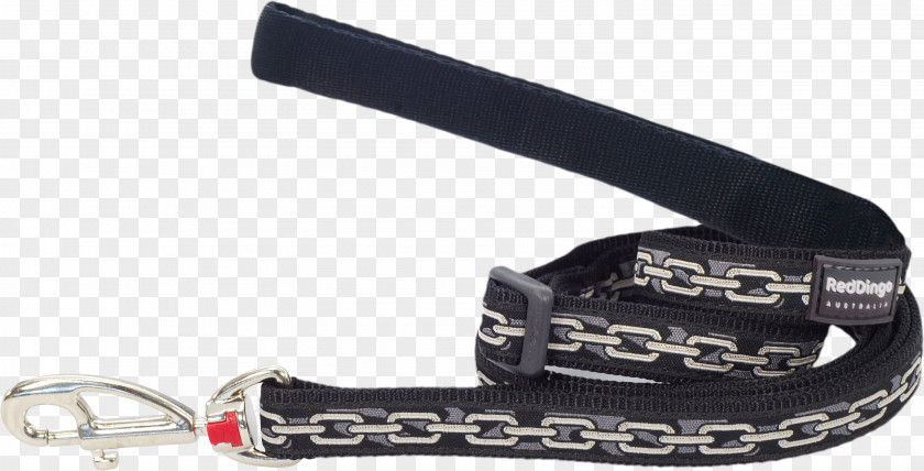 Dog Chain Dingo Collar Puppy Leash PNG