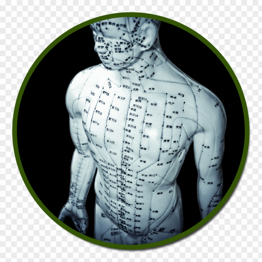 Health Acupuncture Qigong Traditional Chinese Medicine PNG