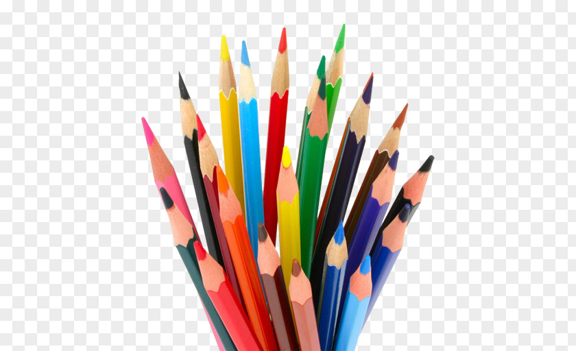 Pencil Colored Drawing Crayon PNG