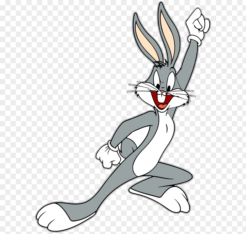 Rabbit Bugs Bunny Daffy Duck Elmer Fudd Vector Graphics Tweety PNG
