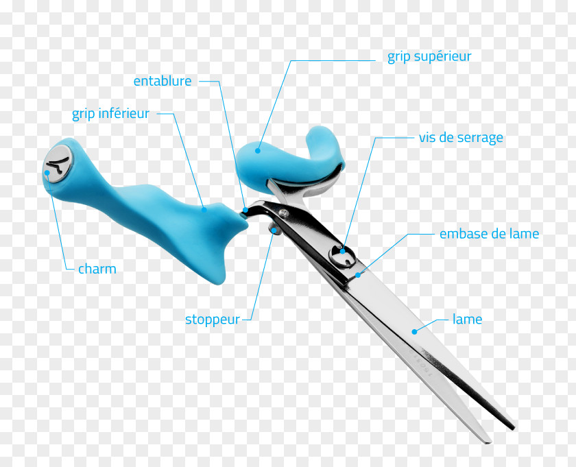 Scissors Hair-cutting Shears Chisel Cosmetologist Comb PNG