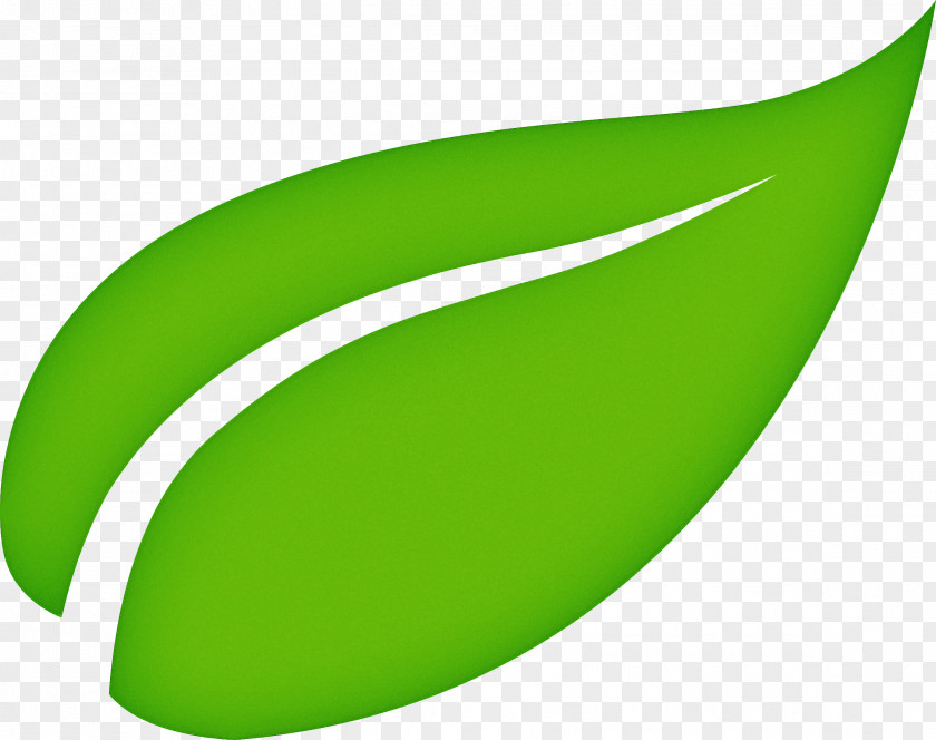 Symbol Plant Tea Leaf Logo PNG
