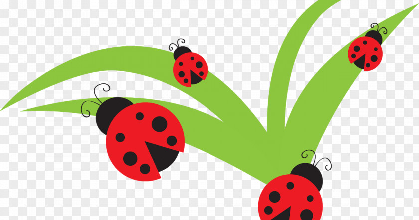 YouTube Ladybird Clip Art PNG