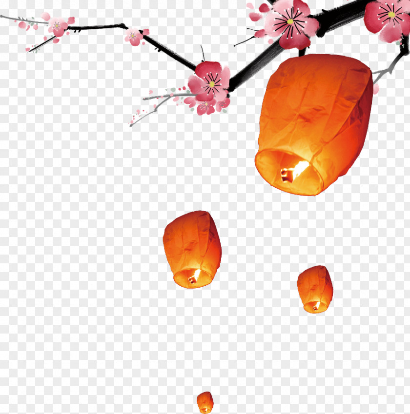 14 Juillet Lantern Festival Chinese New Year Image PNG