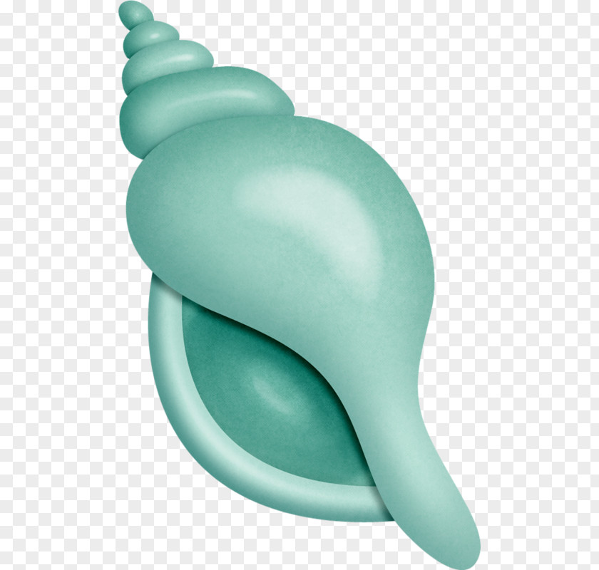 A Conch Drawing Clip Art PNG