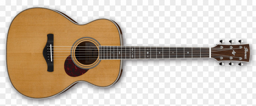 Acoustic Guitar Steel-string Acoustic-electric PNG