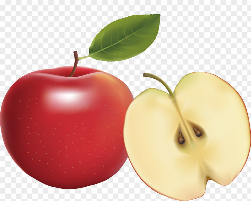 Apple Vector Euclidean Vecteur PNG