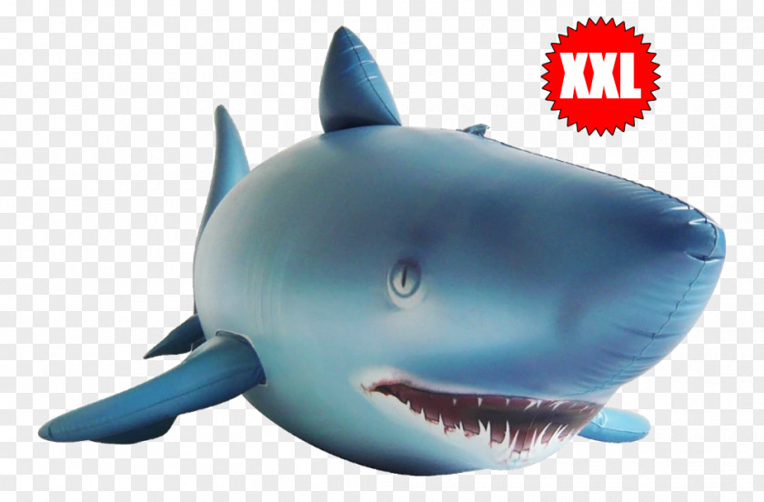 BABY SHARK Inflatable Fish Tiger Shark Polyvinyl Chloride Chondrichthyes PNG