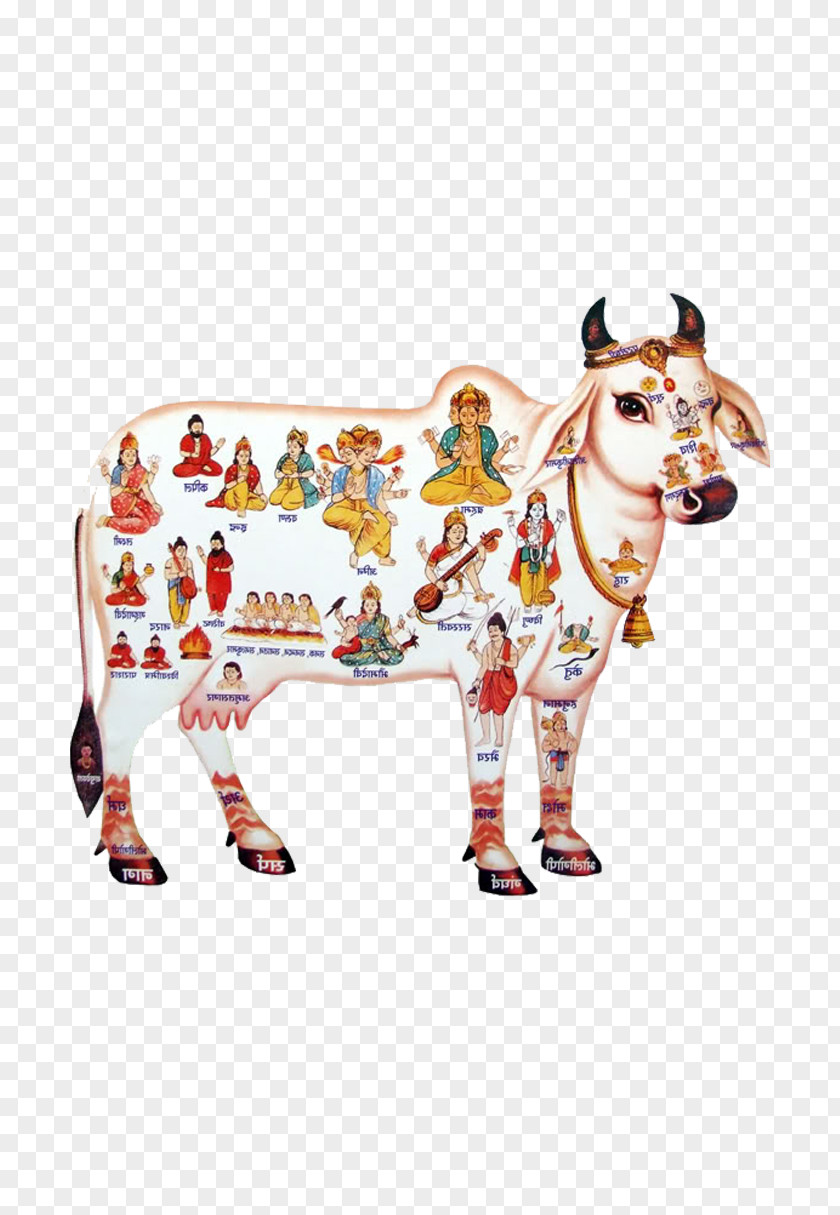 Krishna Cattle In Religion And Mythology Hinduism Goshala PNG
