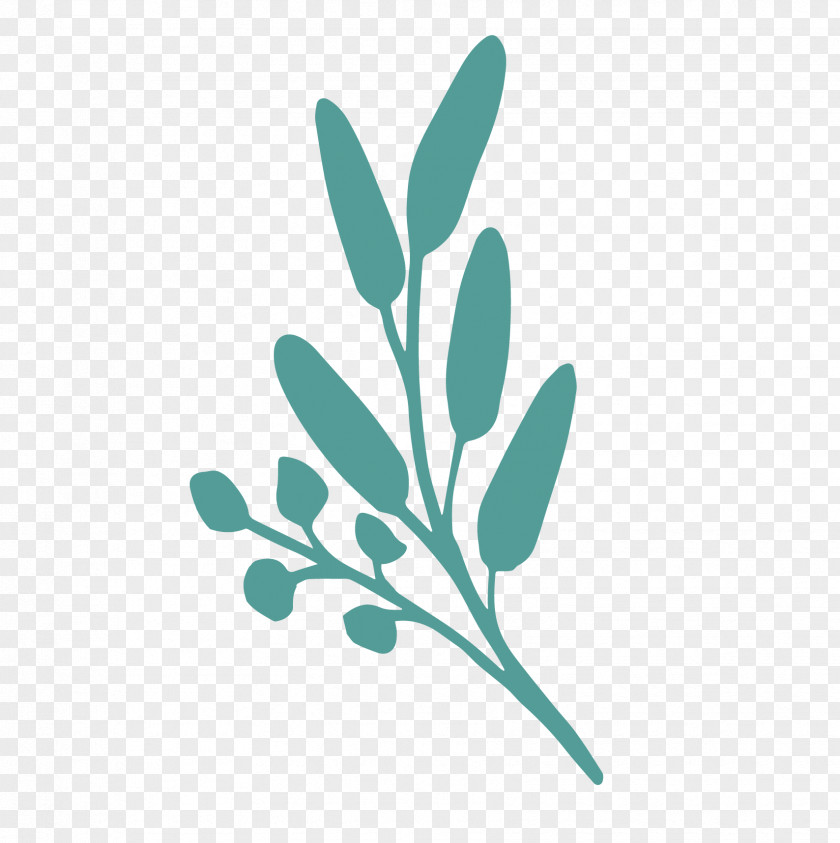 Leaf Logo Font Plant Stem Flower PNG