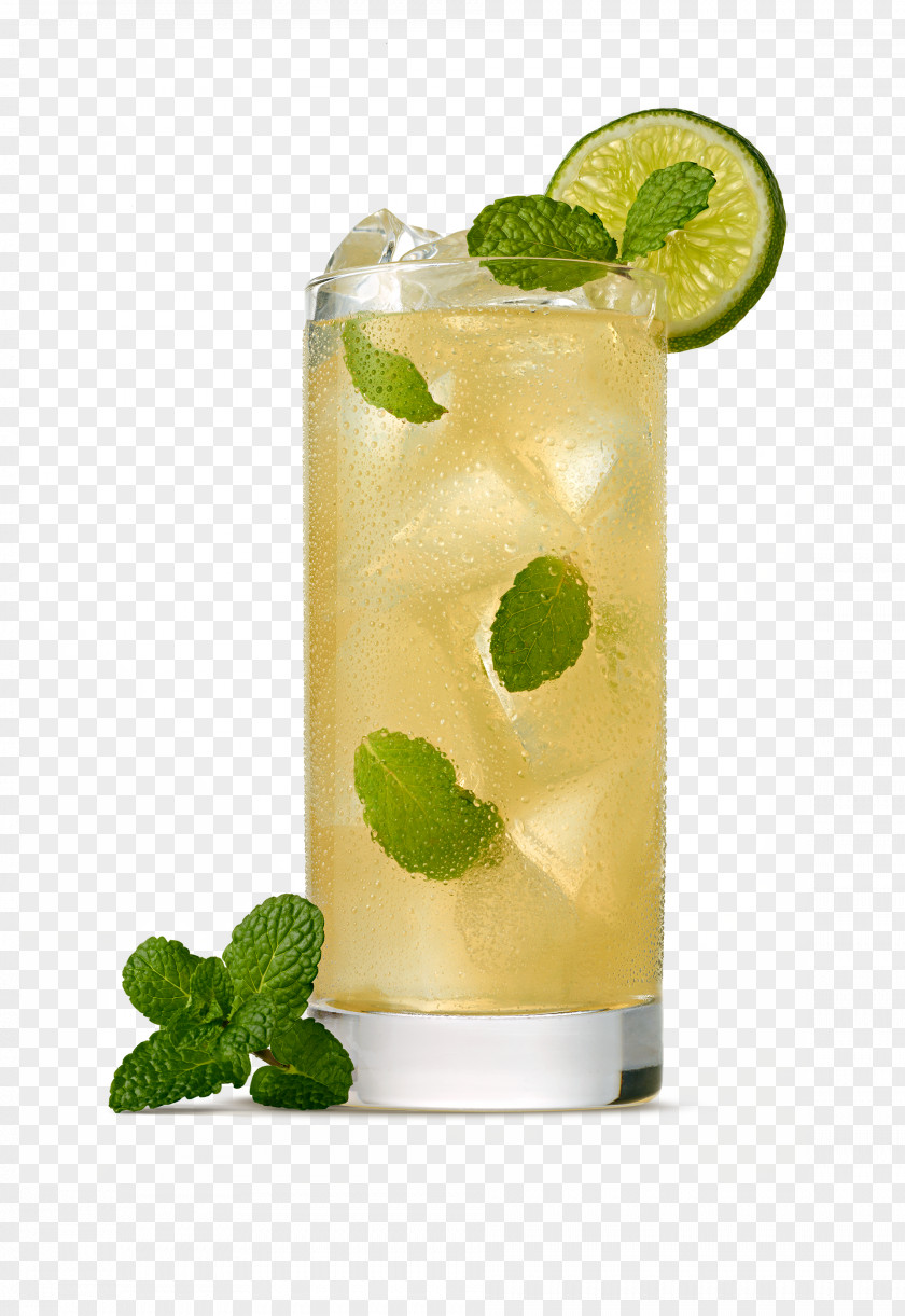 Mojito Cocktail Lemon-lime Drink Juice PNG