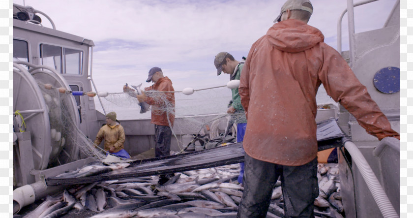 New Border Crossing Rules Alaska Salmon Fishery Idea Marketing Project PNG