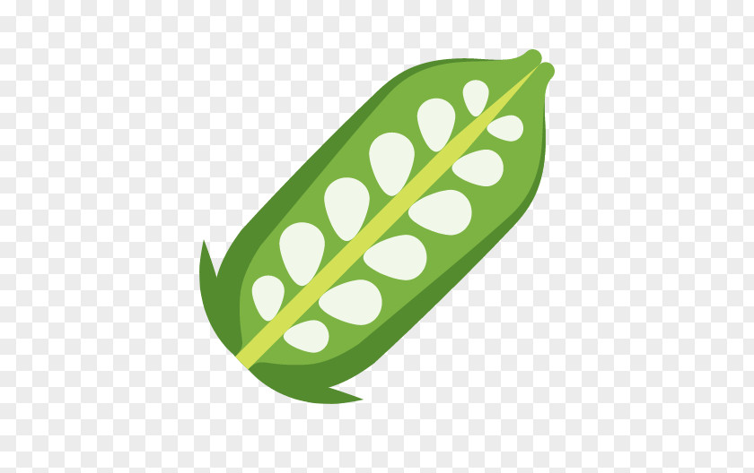 Pea Bean Icon PNG