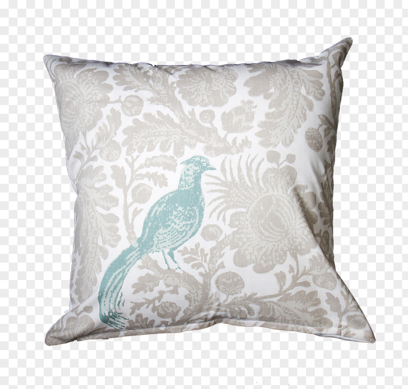 Peacock Throw Pillows Cushion Turquoise Teal PNG