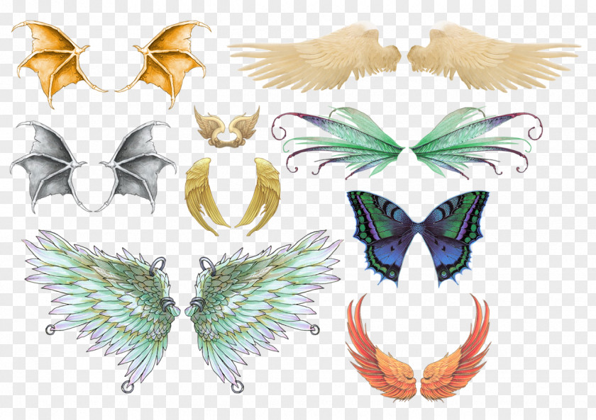 Pretty Wings Pull Material Free Bird Drawing Clip Art PNG