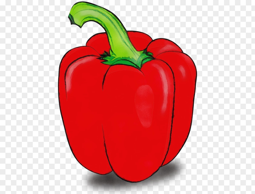 Food Plant Natural Foods Bell Pepper Pimiento Vegetable Peppers And Chili PNG