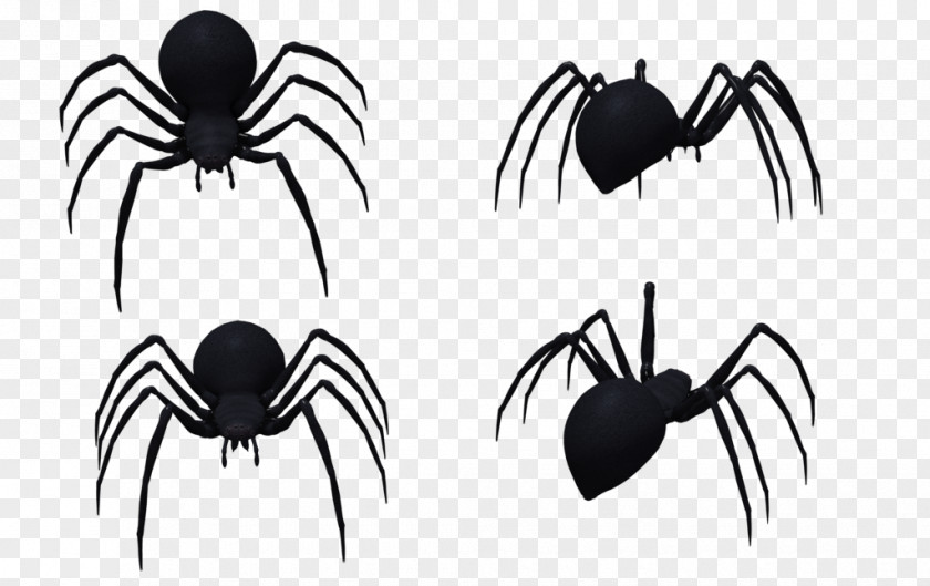 Insect Arachnid White Pest Clip Art PNG