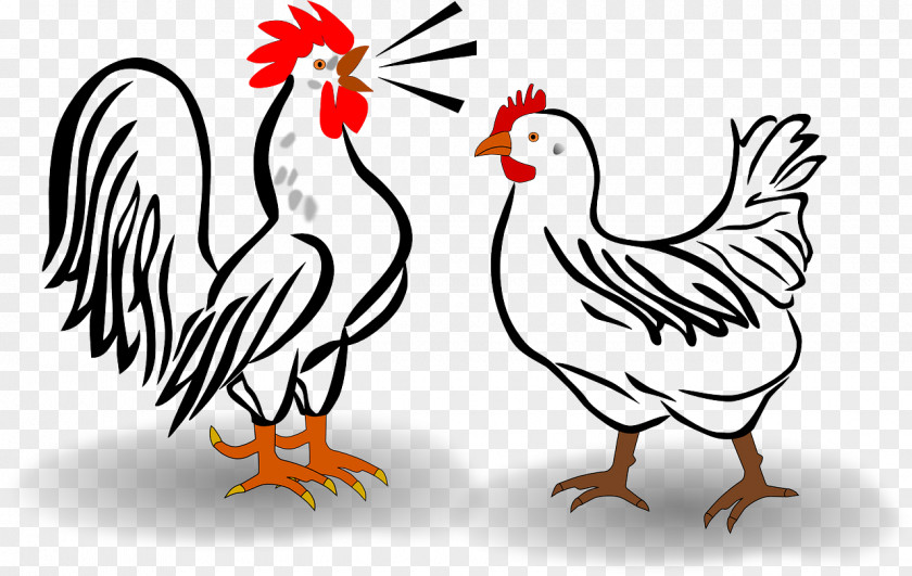 Leghorn Chicken Cochin Houdan Rooster Clip Art PNG