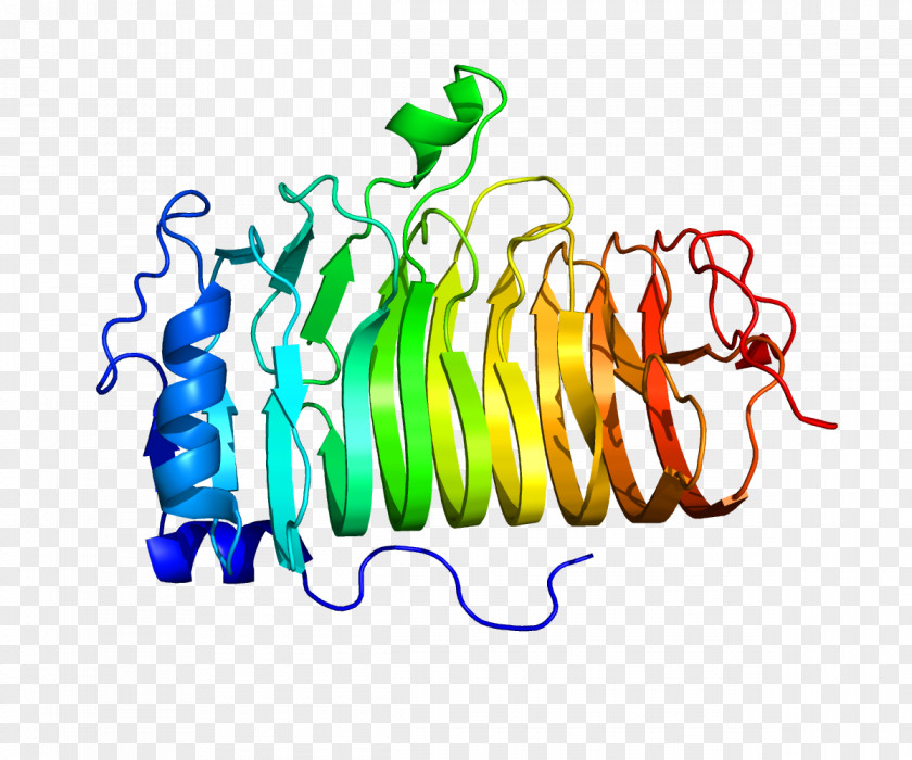 Protein CD20 Chimeric Antigen Receptor Rituximab B Cell PNG