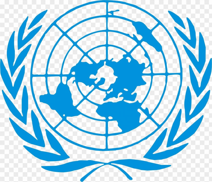Unicef Logo United Nations Security Council Model System Department Of Political Affairs PNG