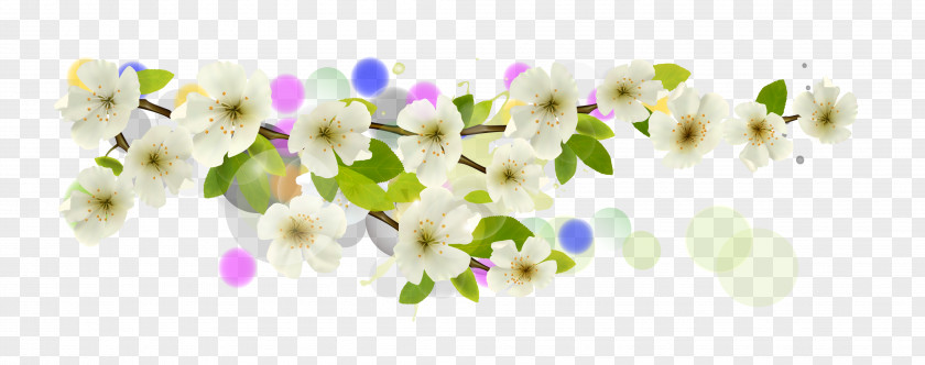 White Apricot Flower PNG