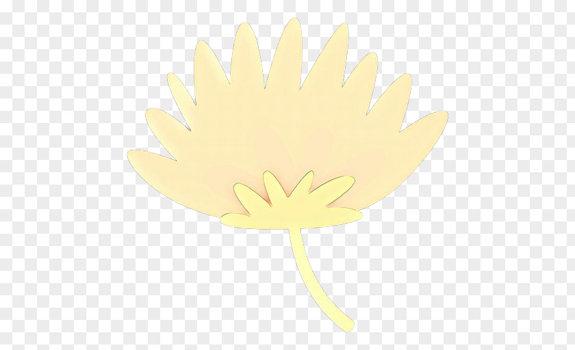 Camomile Hand Yellow Leaf Gerbera Plant Flower PNG