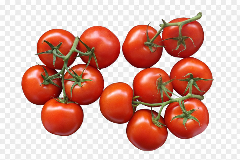 Cherry Tomato Pizza Vegetable Food Clip Art PNG