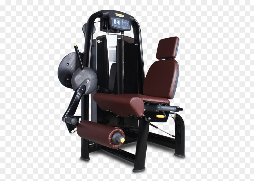 Gym Equipments Weightlifting Machine 博菲特 Commerce Bodybuilding PNG
