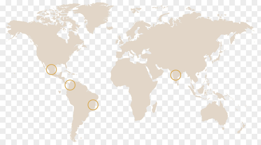 Arabica Coffee World Political Map Globe PNG